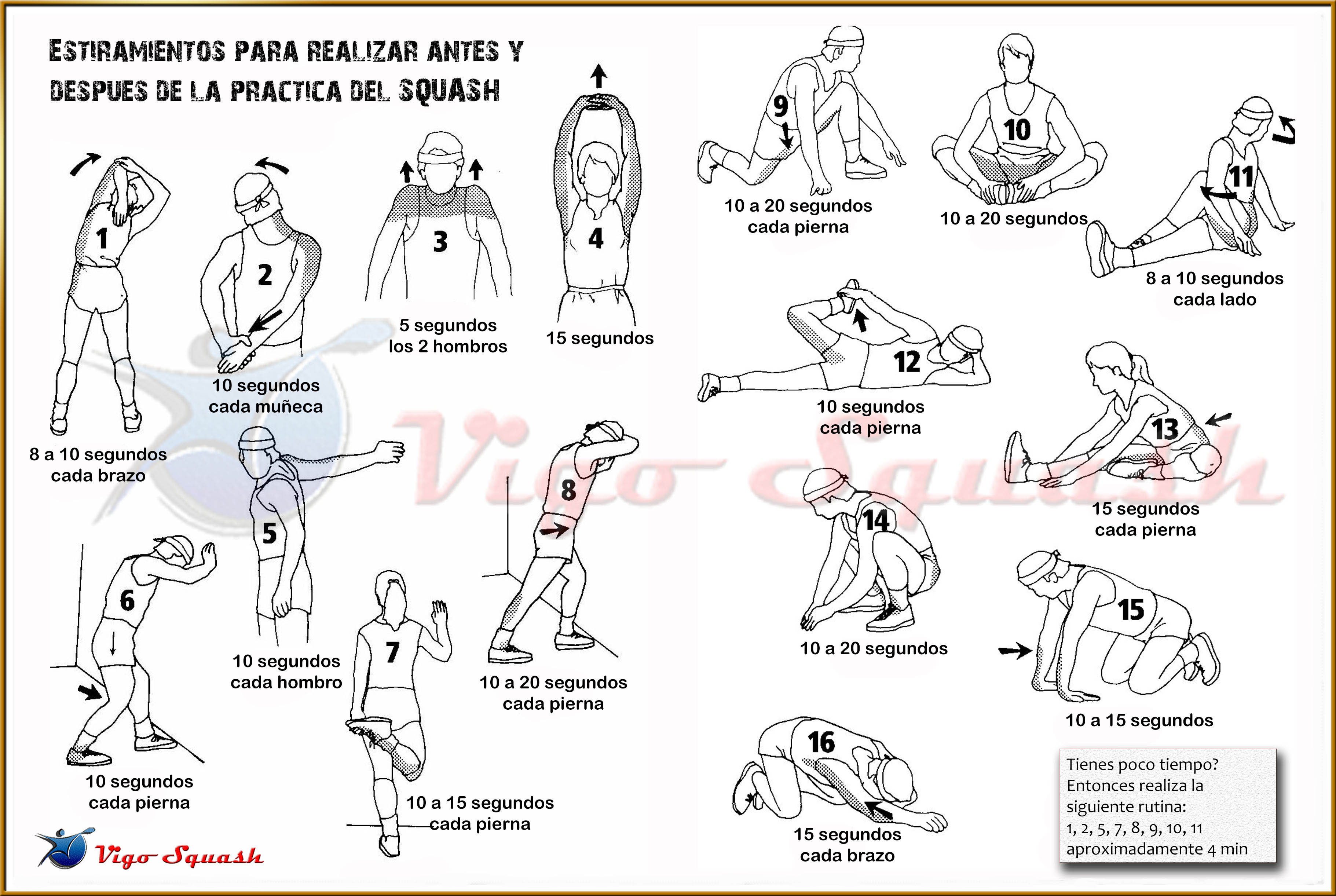 Estiramientos especificos para squash