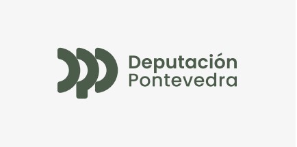 DIPUTACION PONTEVEDRA